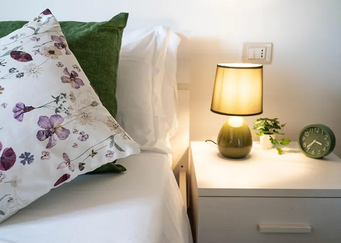 B&B Agramonte